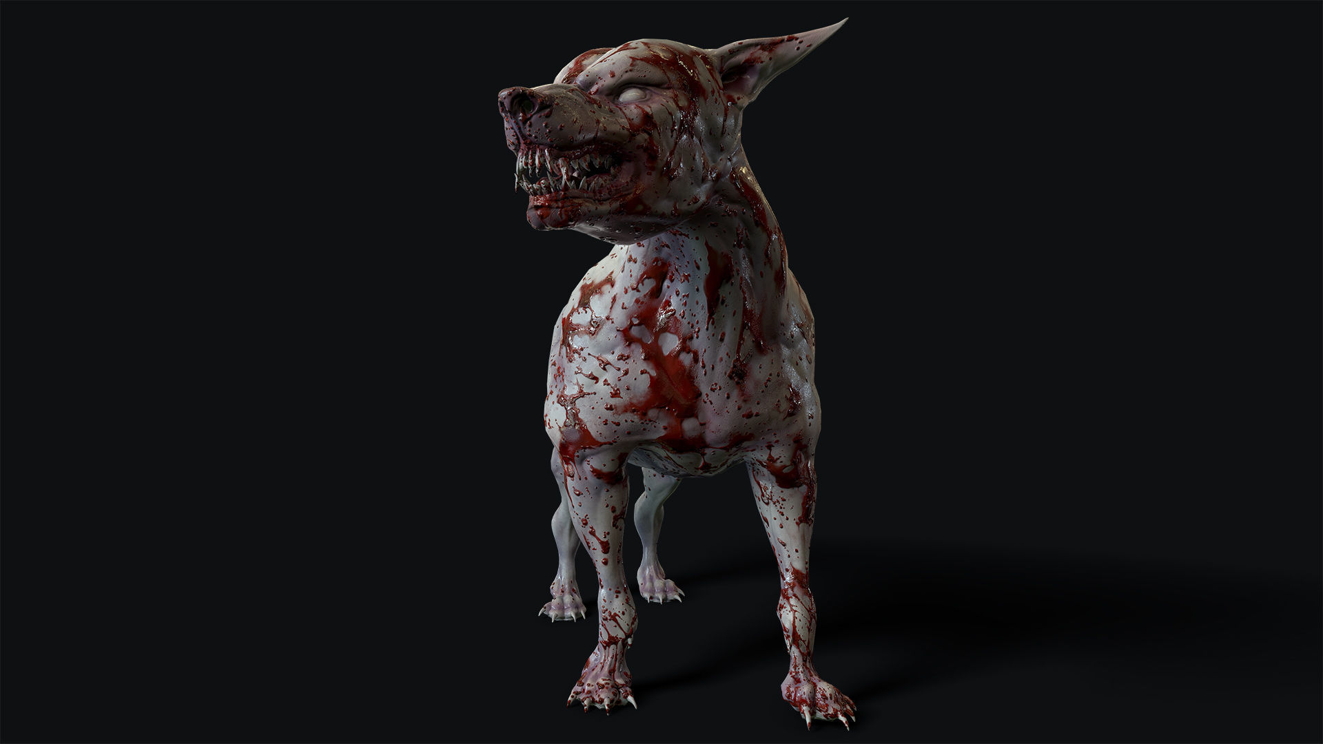 Mutant Dog Low-poly 3D model_8