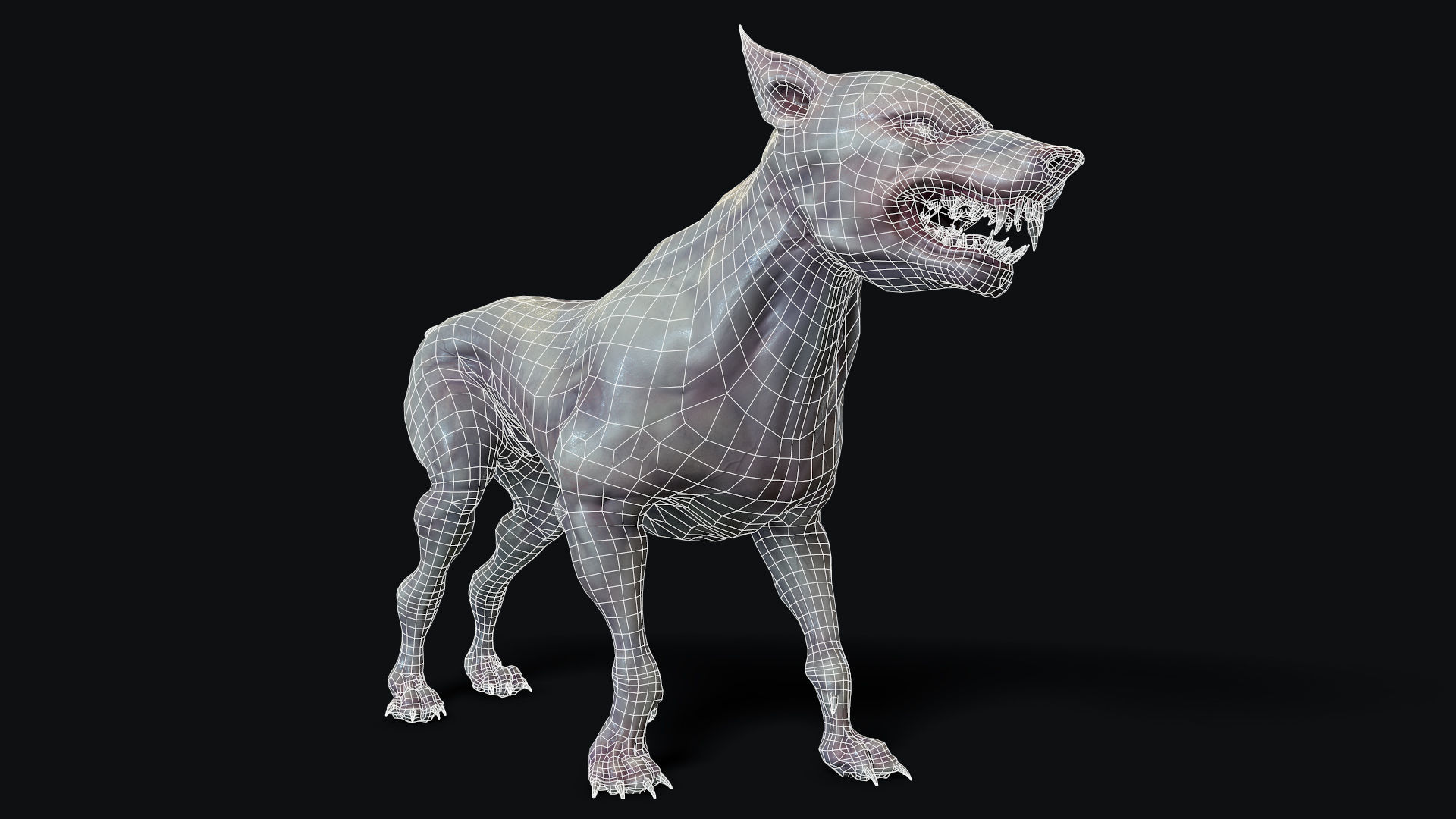 Mutant Dog Low-poly 3D model_10