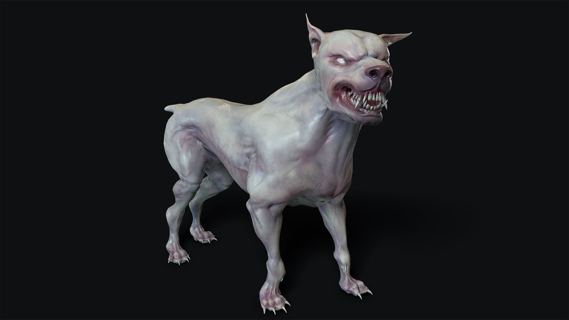 Mutant Dog Low-poly 3D model_5