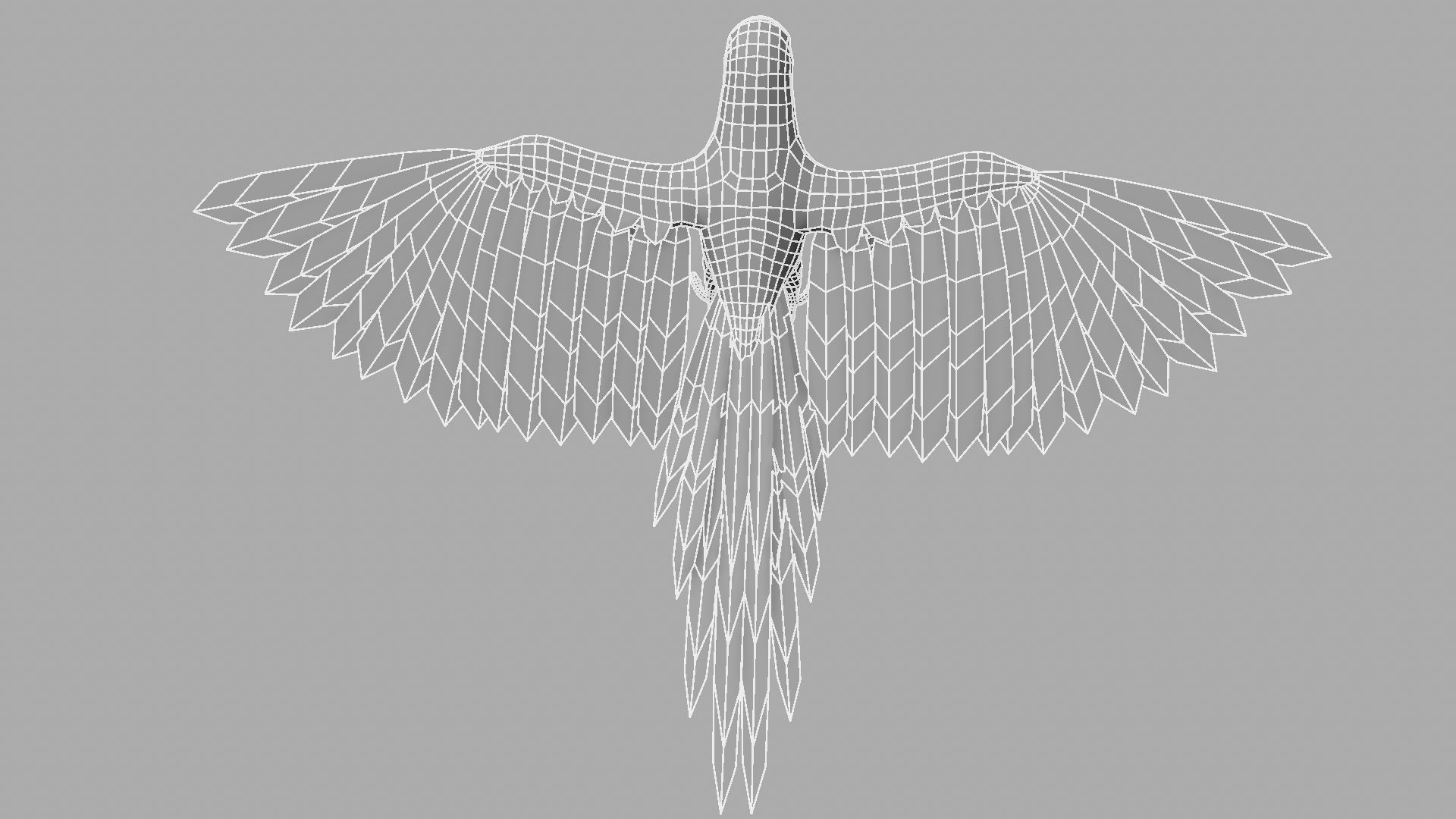 Green Parrot 3D model_23