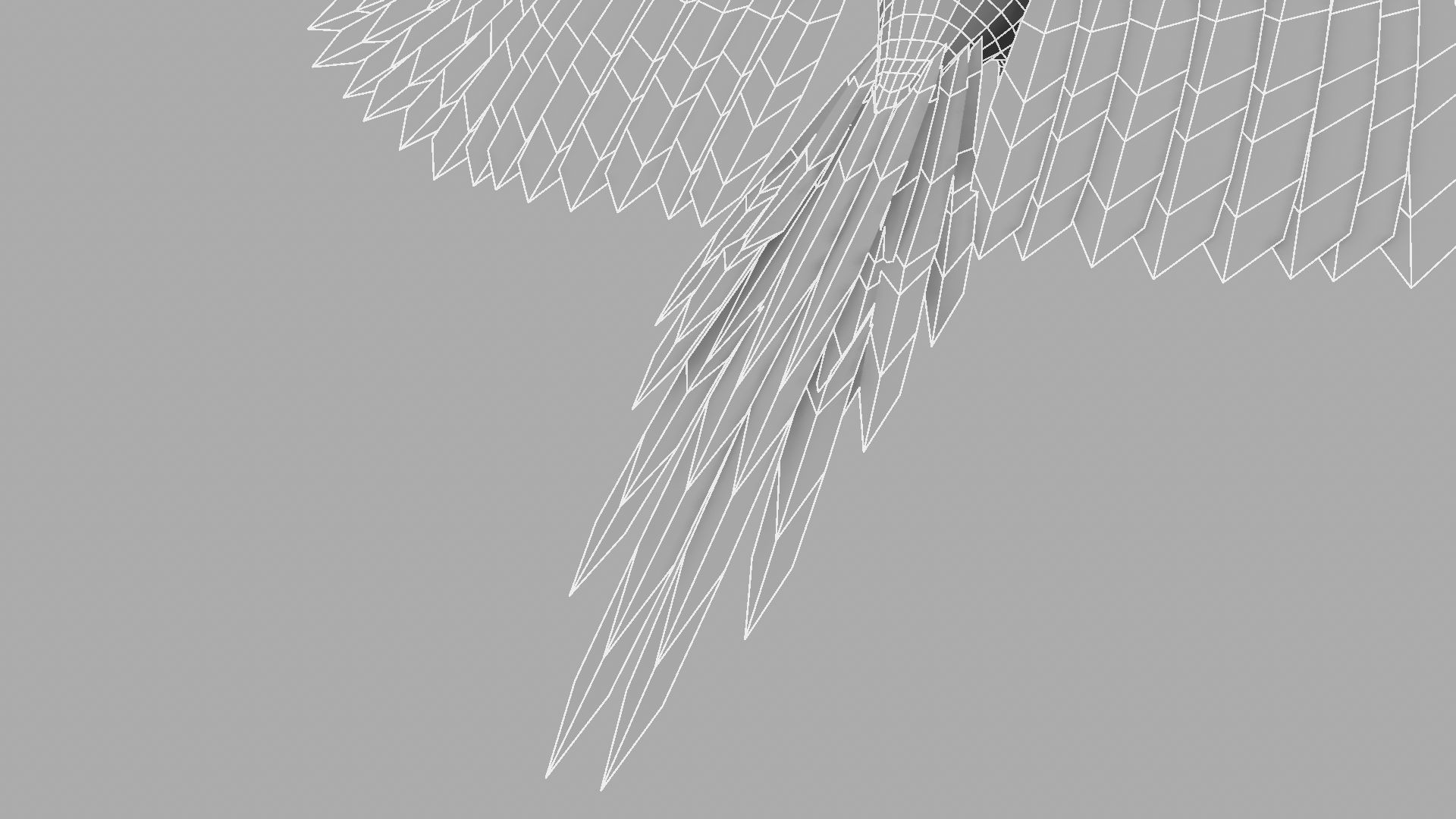 Green Parrot 3D model_6