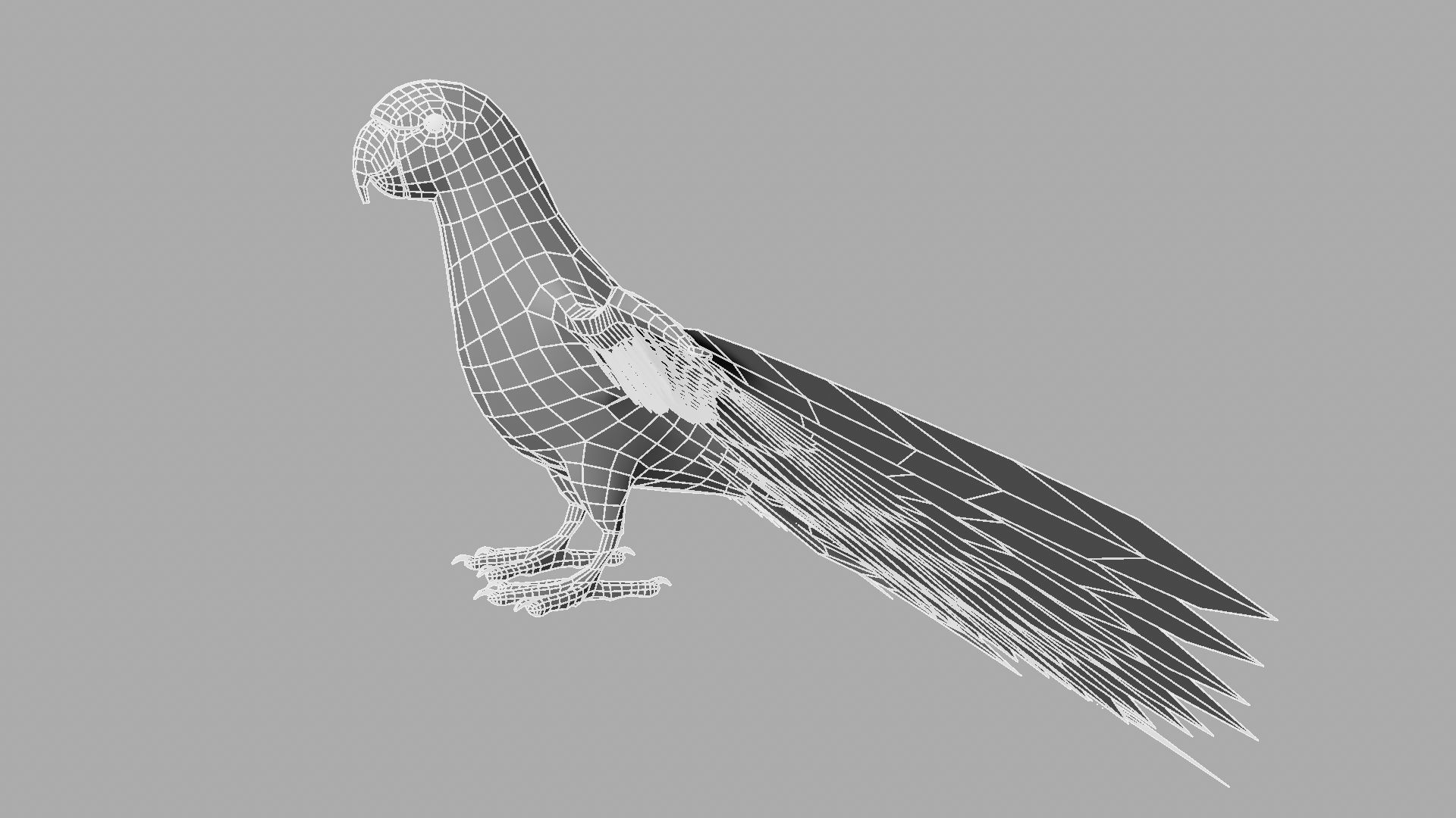 Green Parrot 3D model_5