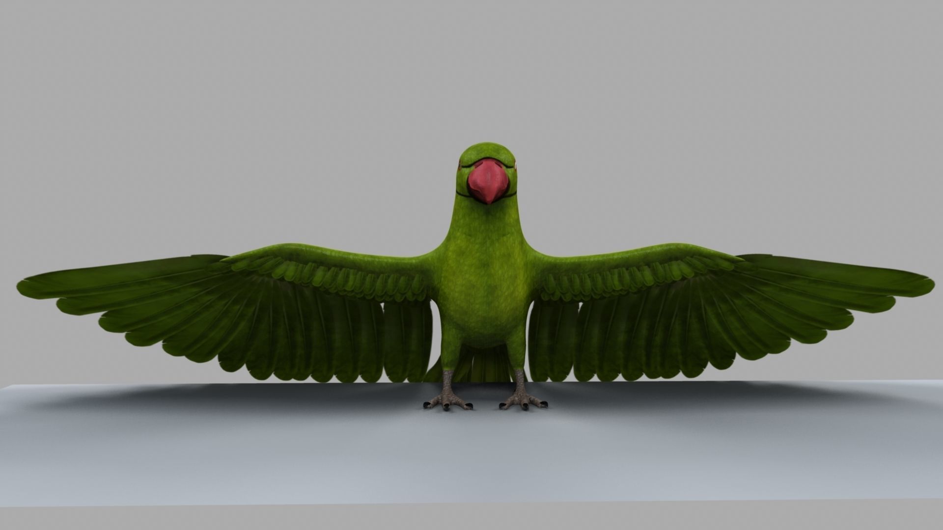 Green Parrot 3D model_10