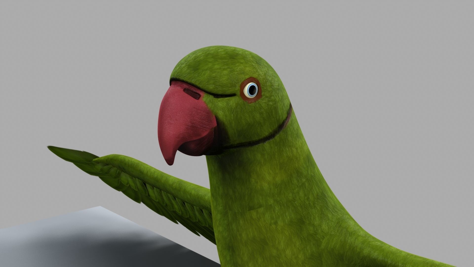 Green Parrot 3D model_15