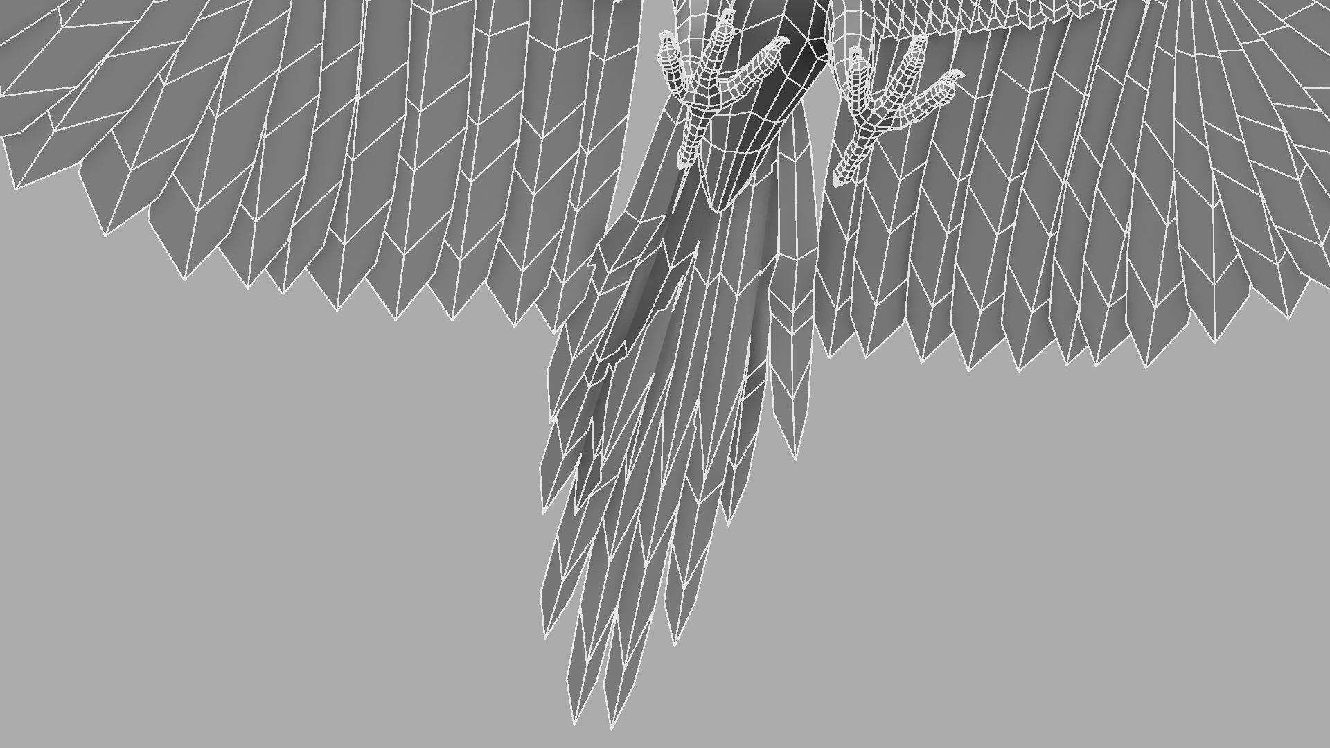 Green Parrot 3D model_7