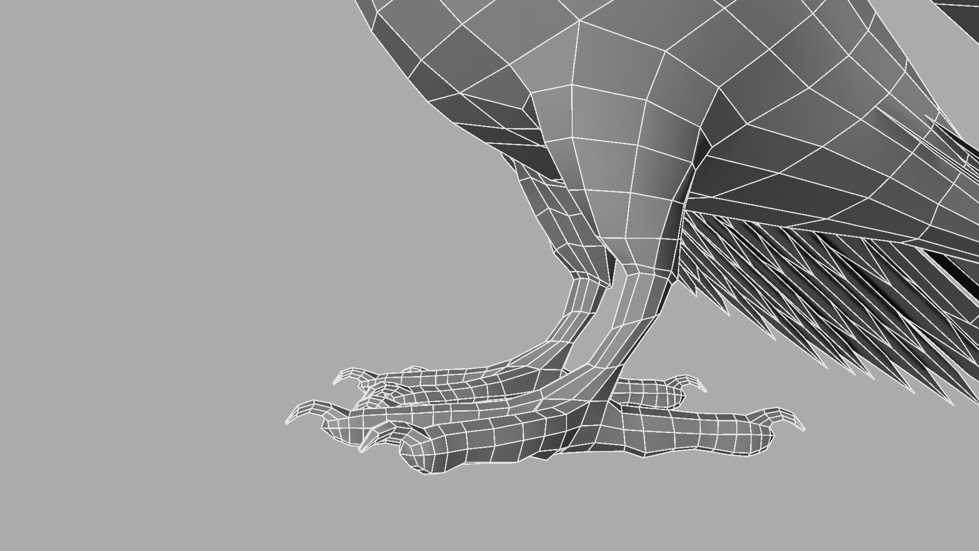 Green Parrot 3D model_24