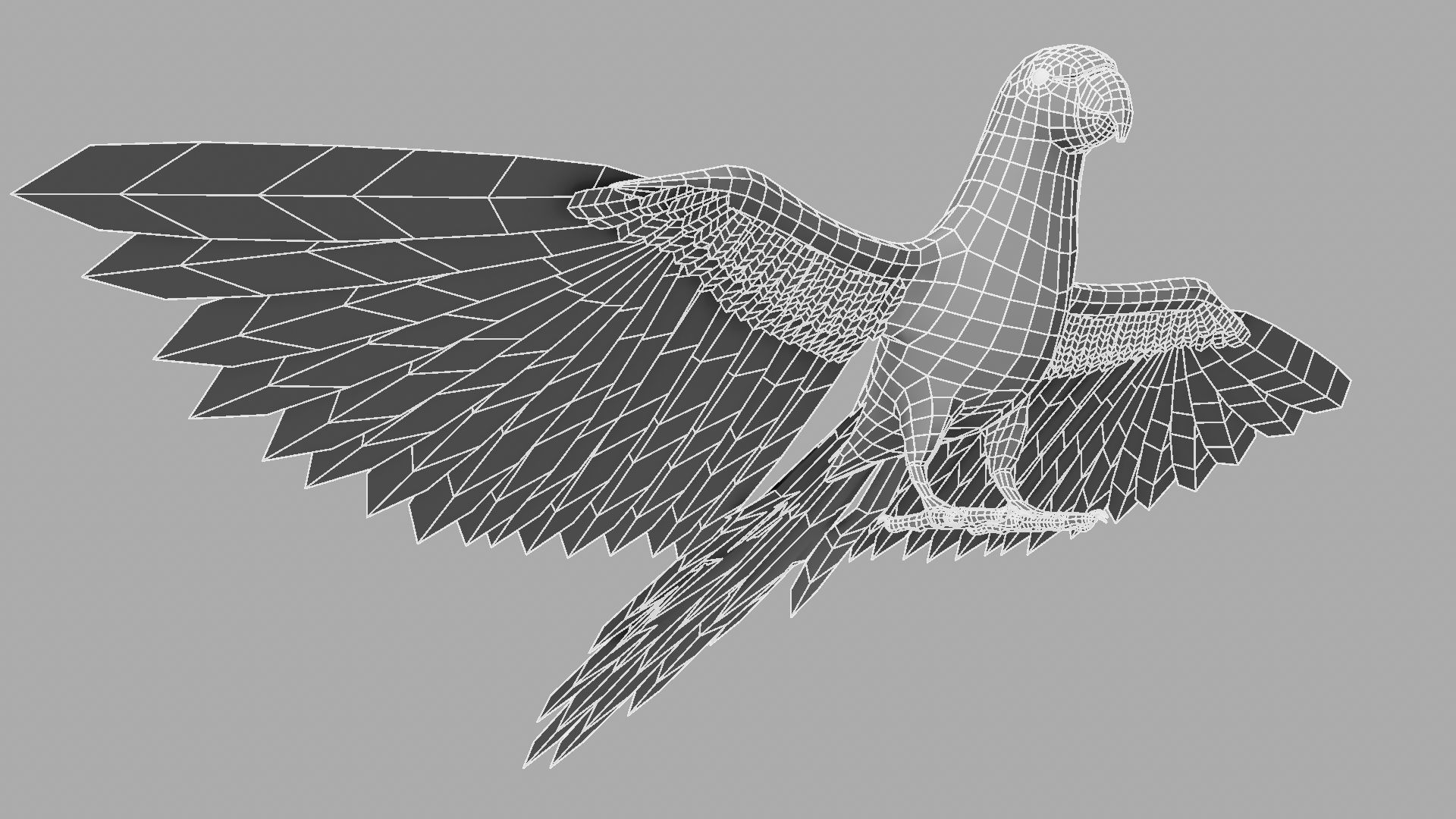 Green Parrot 3D model_8