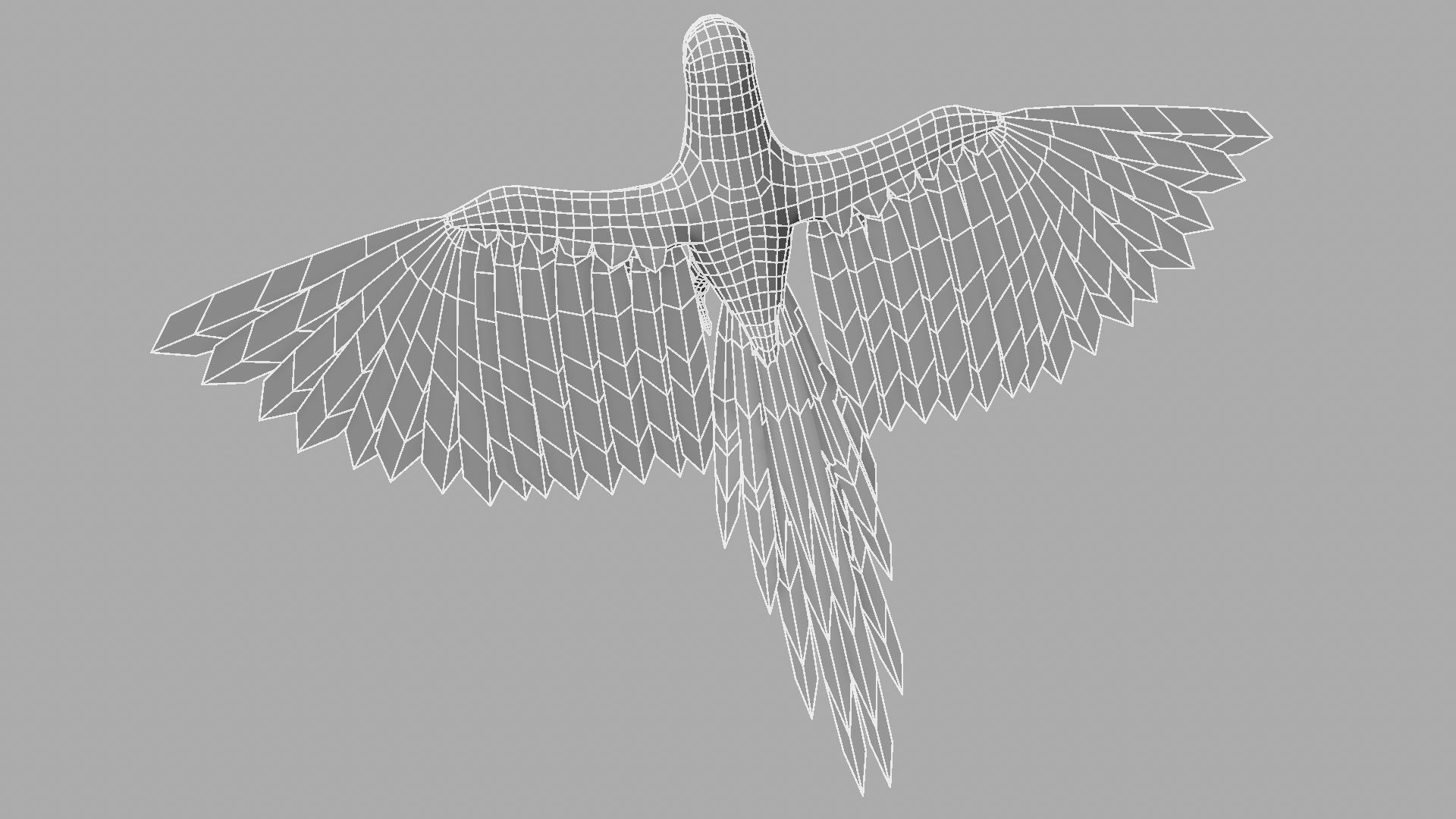 Green Parrot 3D model_21