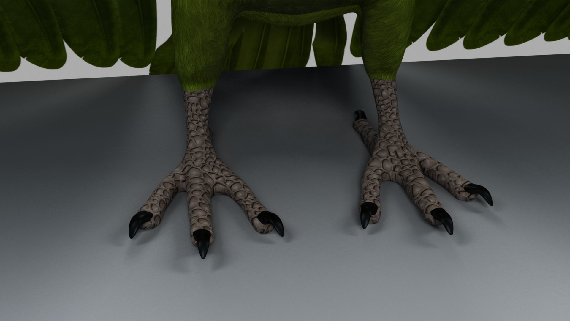 Green Parrot 3D model_32