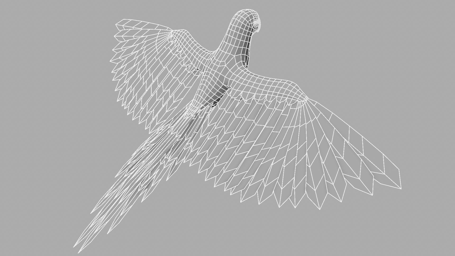 Green Parrot 3D model_22