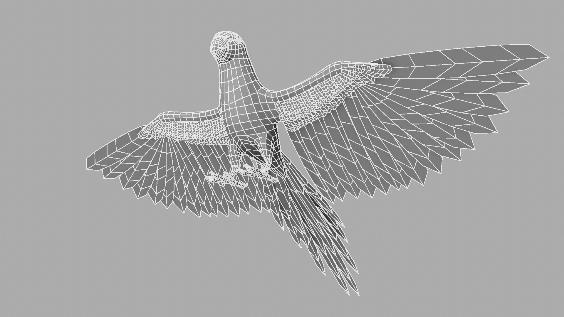 Green Parrot 3D model_26