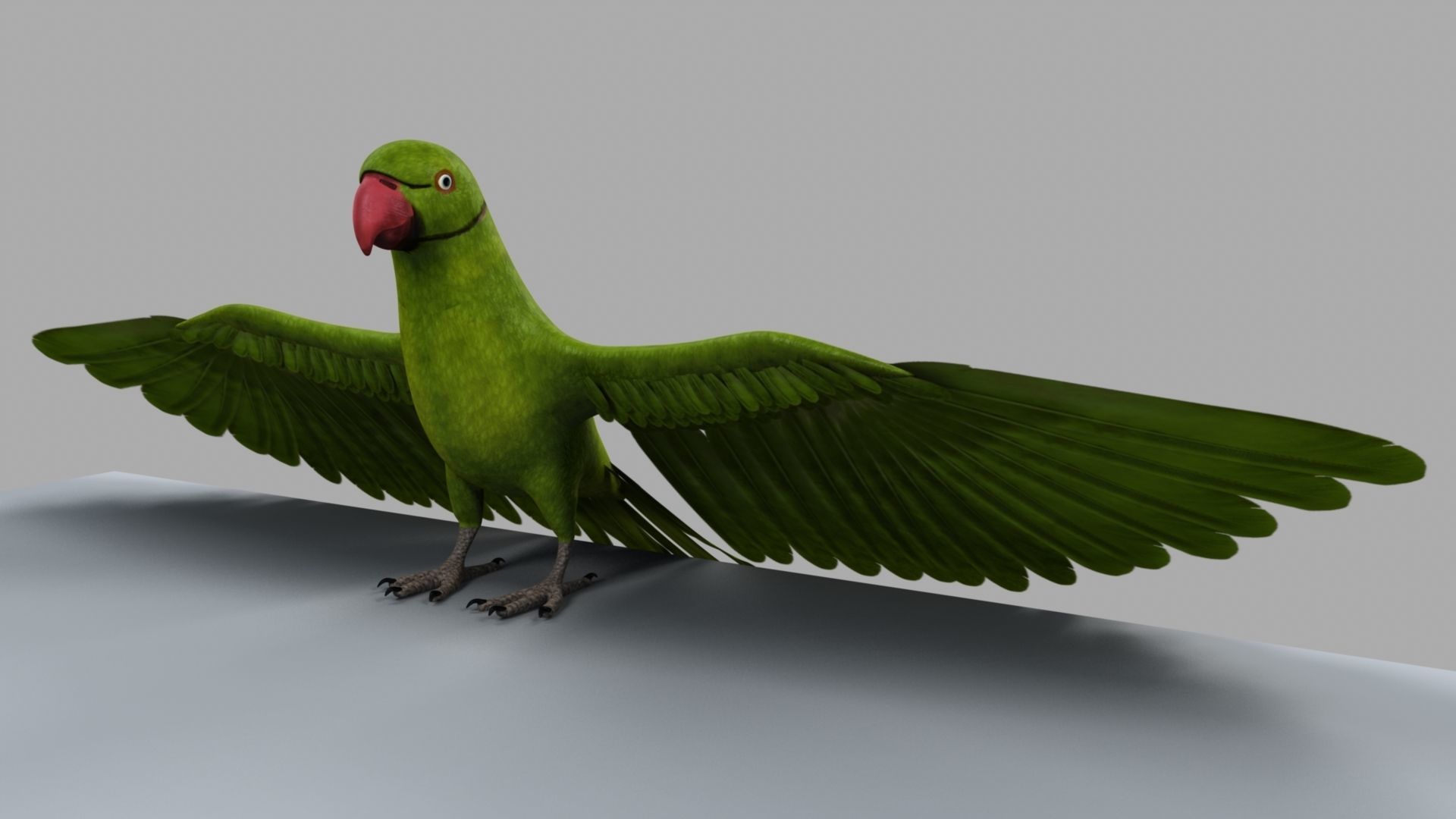 Green Parrot 3D model_14