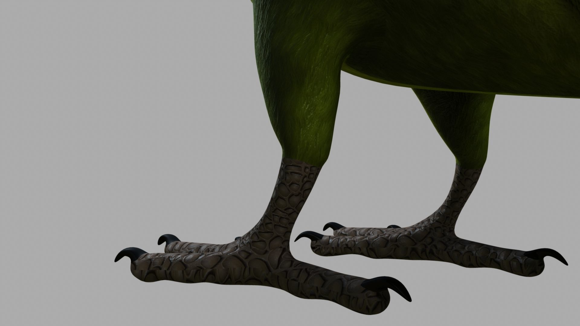 Green Parrot 3D model_31