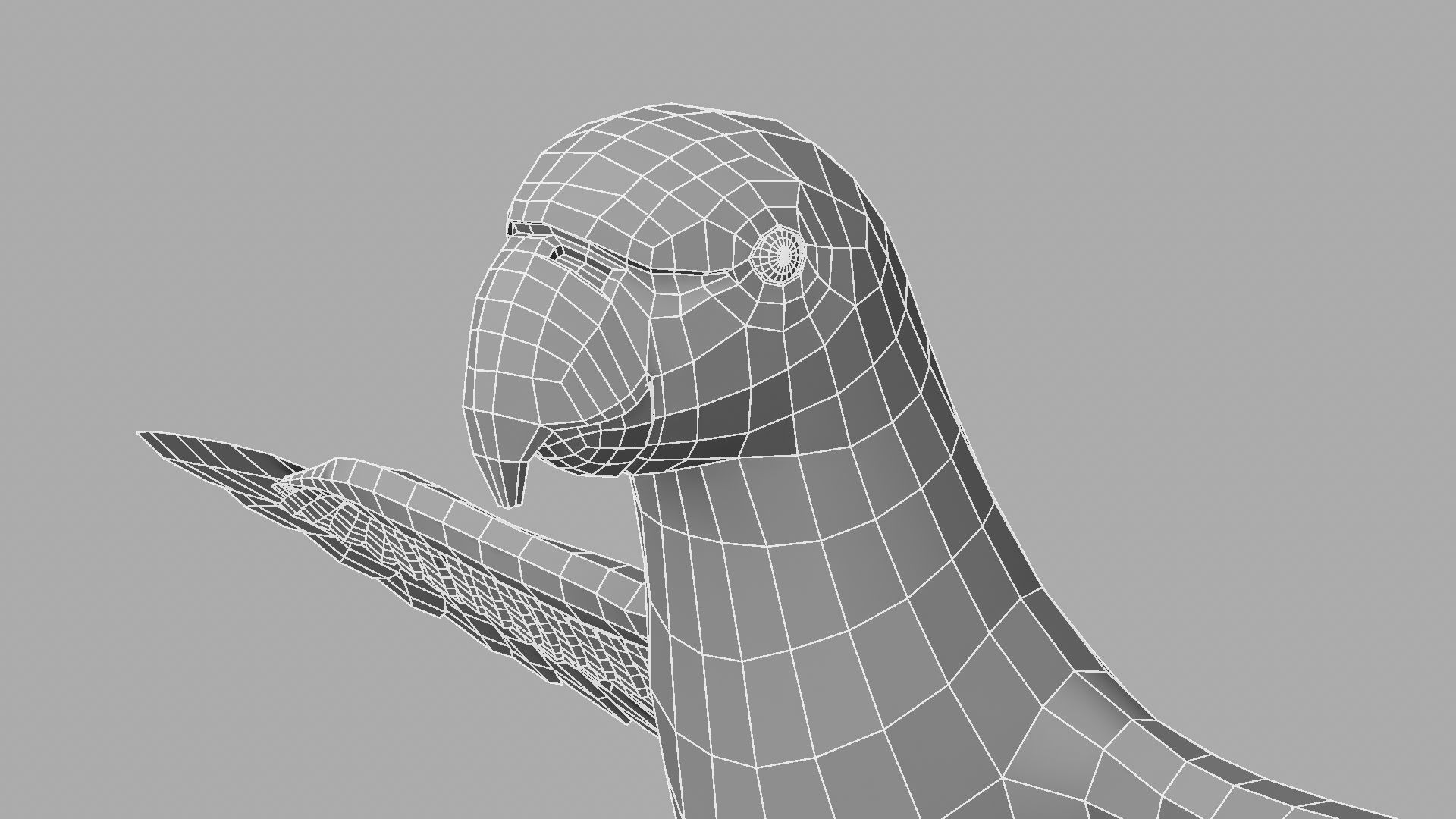 Green Parrot 3D model_20