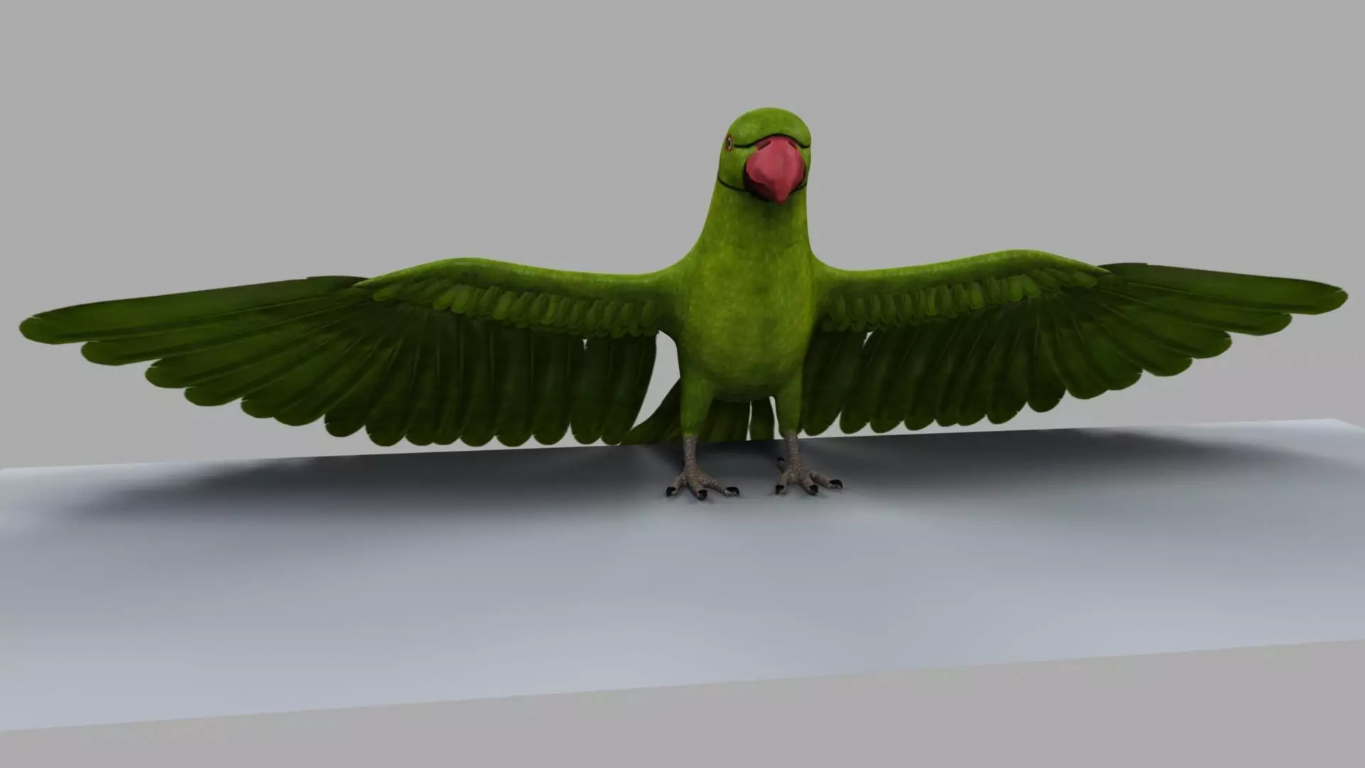 Green Parrot 3D model_0
