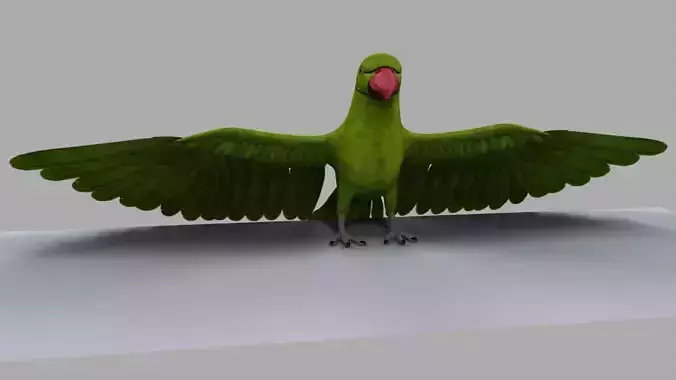 Green Parrot 3D model