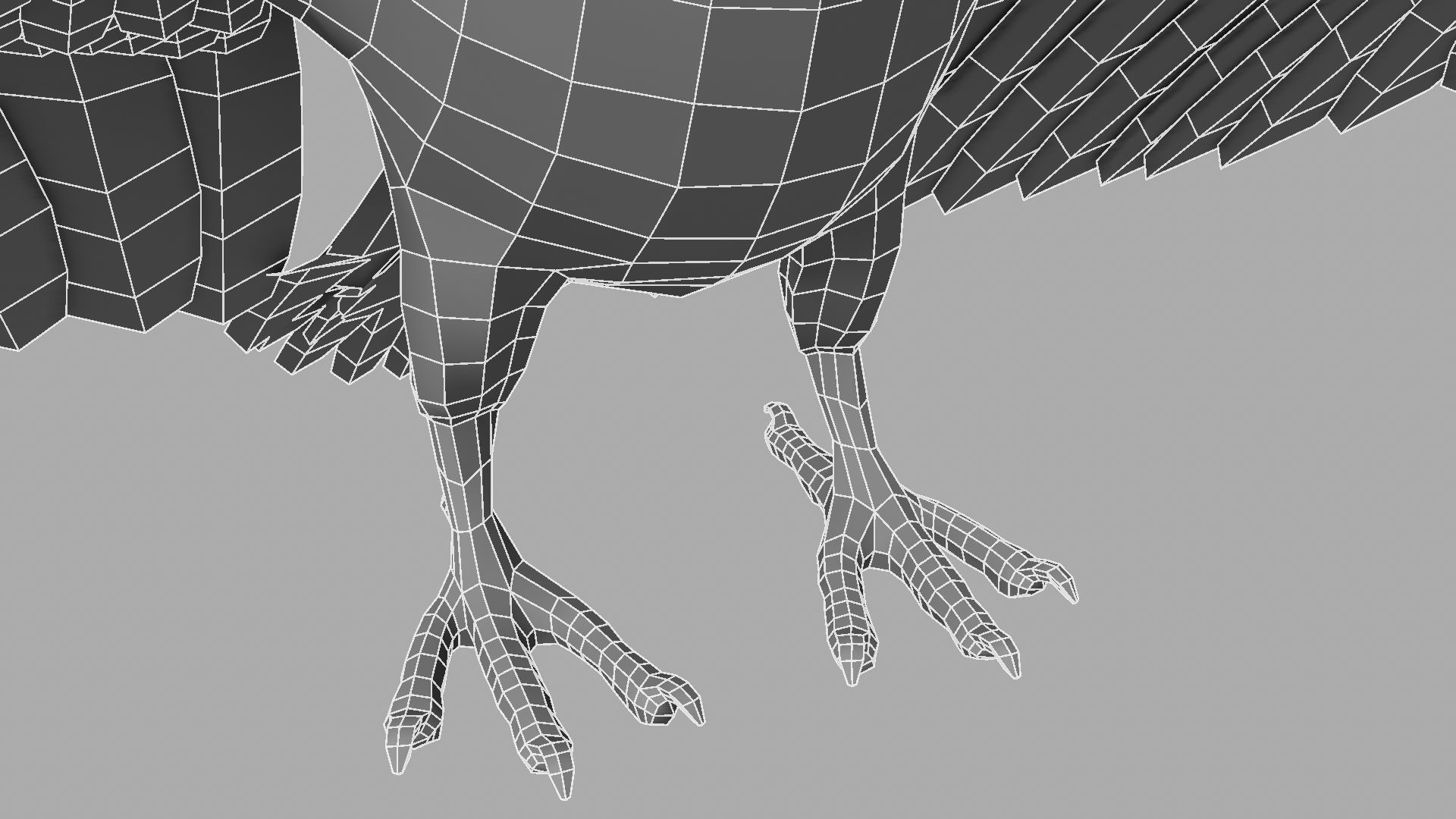 Green Parrot 3D model_25