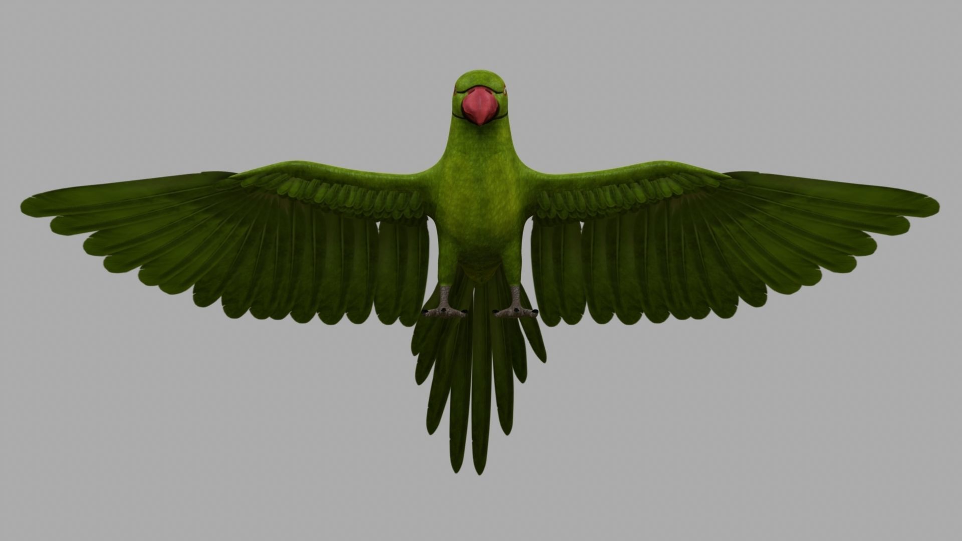 Green Parrot 3D model_30
