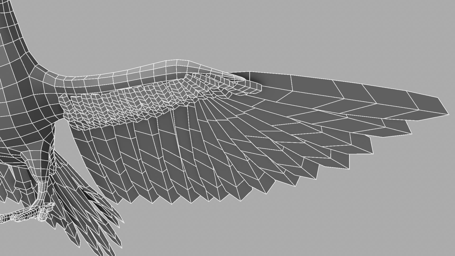 Green Parrot 3D model_27