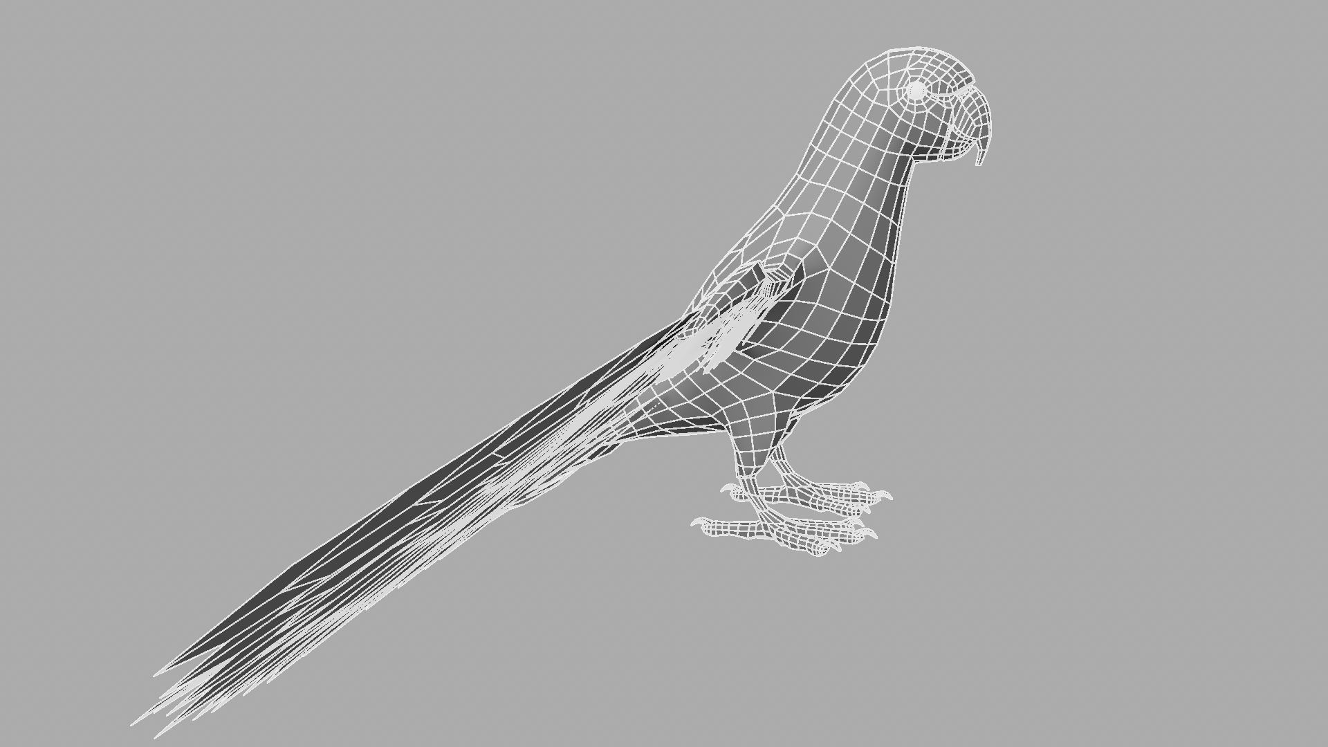 Green Parrot 3D model_3