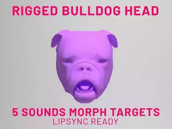 Bulldog Head Rigged Lipsync
