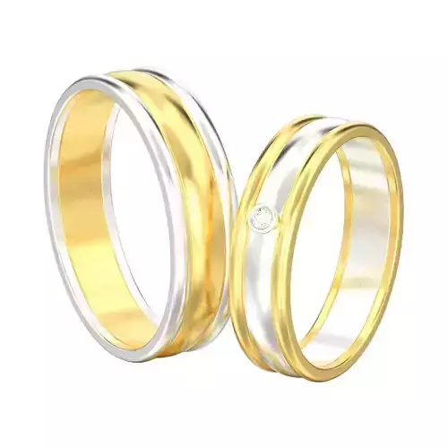 Set of  two wedding rings with two type of metal