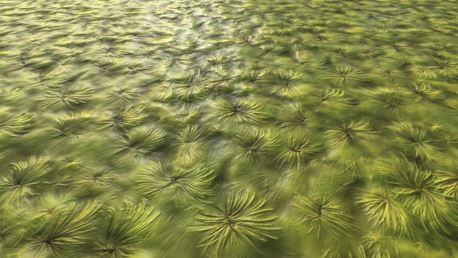 Stylized Ground Mix Vol 39 - Hand Painted Textures Texture_32