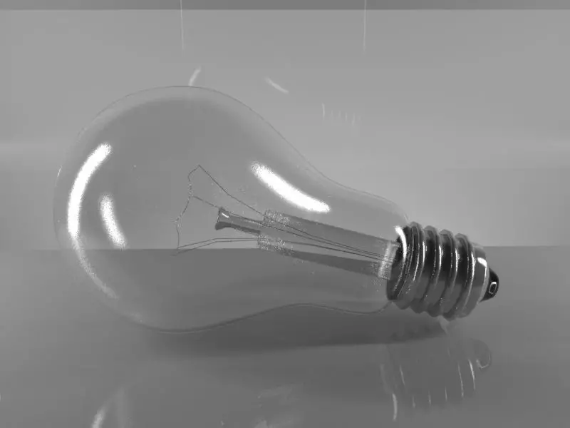 Light Bulb 3D model_0