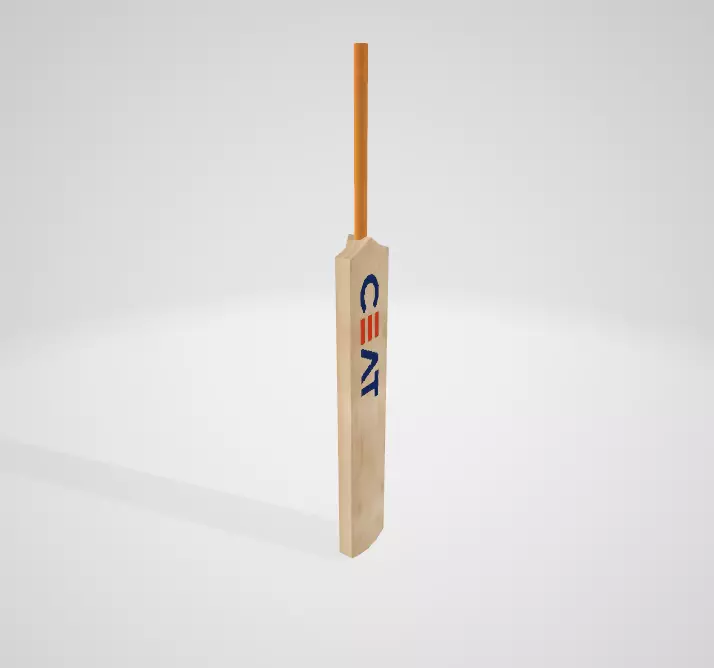 CRICKET BAT 3D model