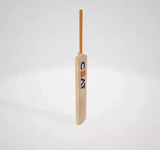 CRICKET BAT 3D model