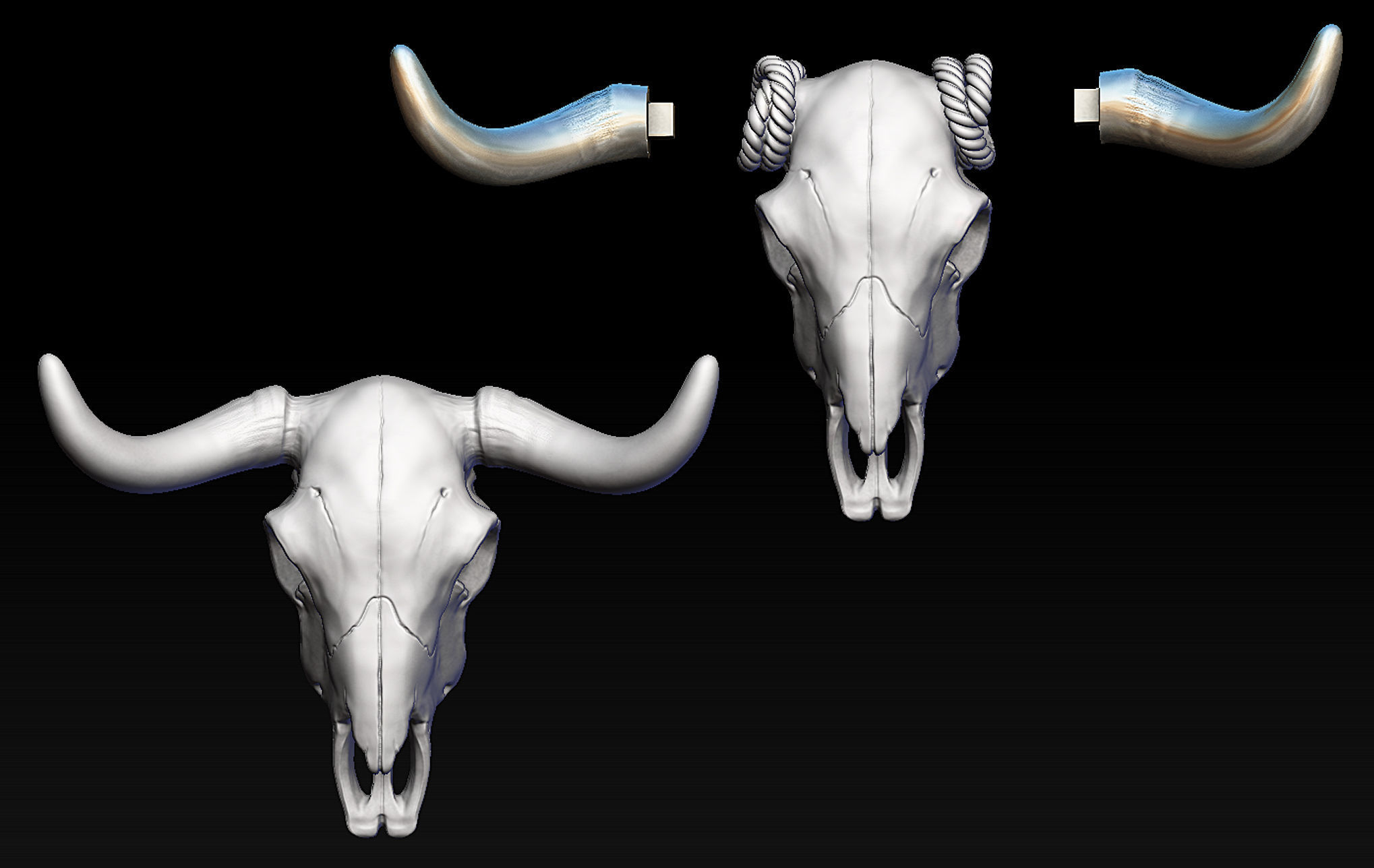 Bull Skull with Separate Horns 3D print model_3