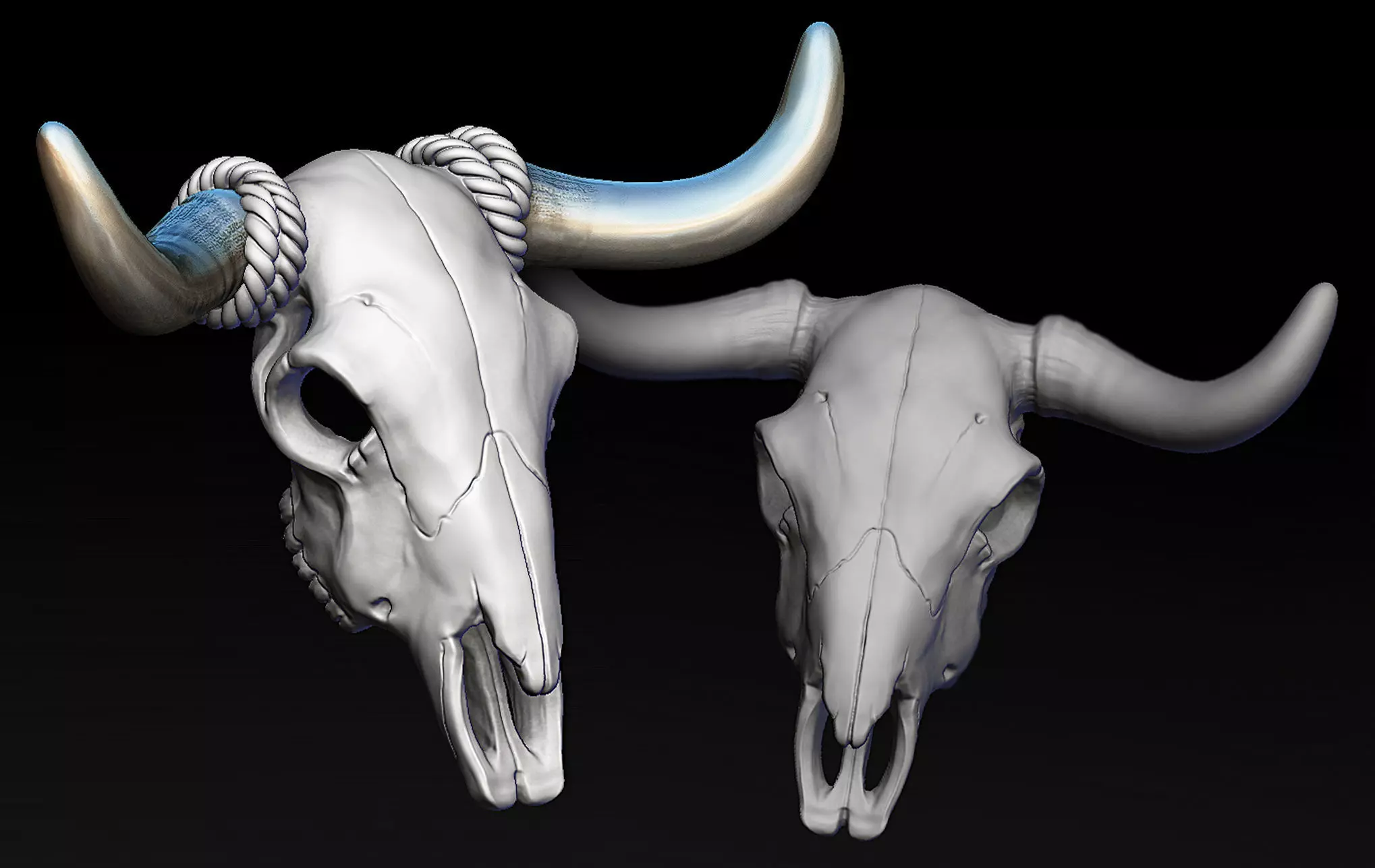 Bull Skull with Separate Horns 3D print model_0
