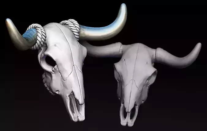 Bull Skull with Separate Horns 3D print model