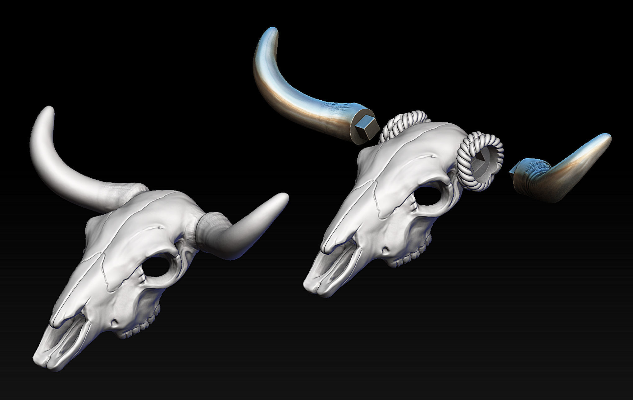 Bull Skull with Separate Horns 3D print model_2