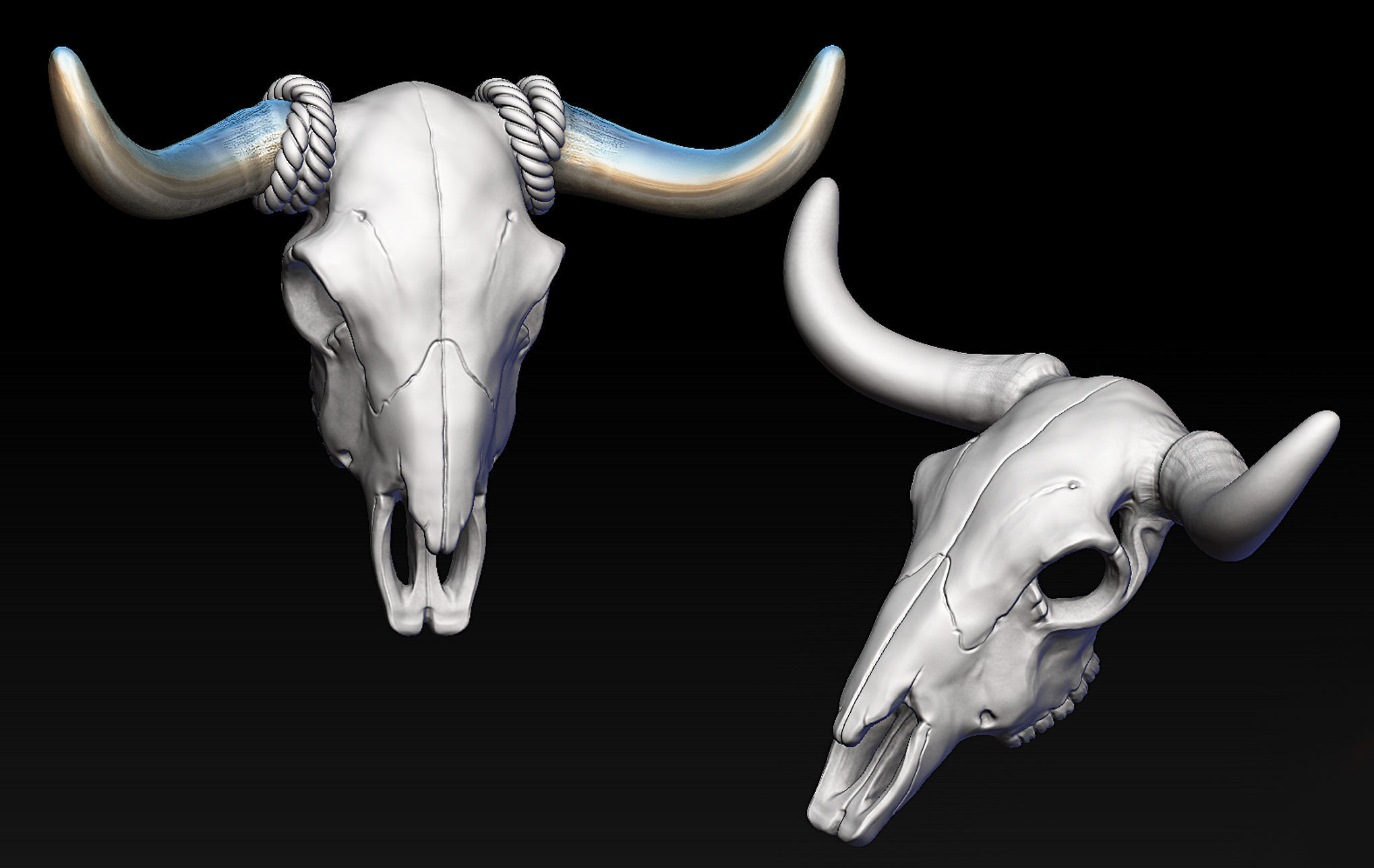 Bull Skull with Separate Horns 3D print model_1