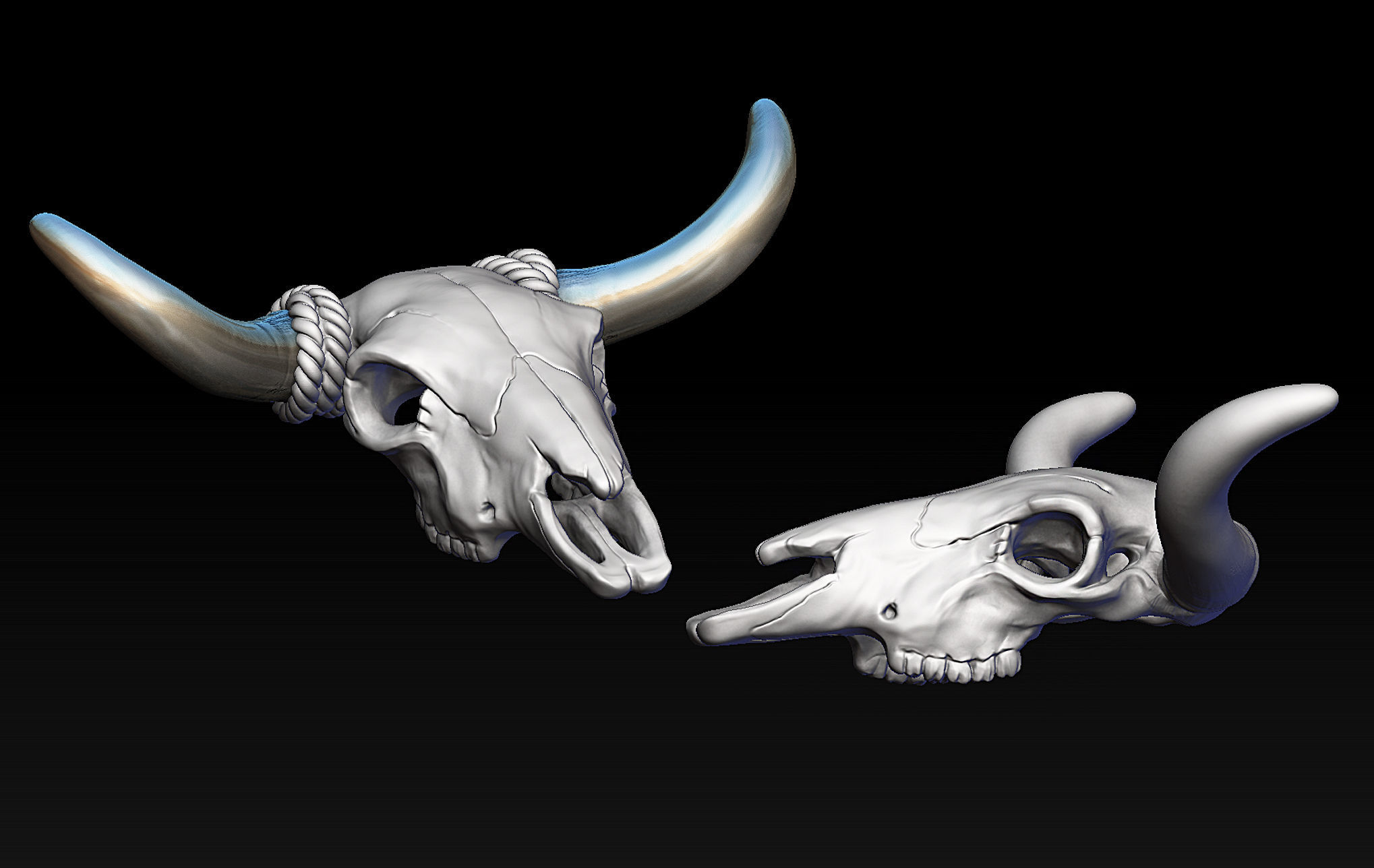 Bull Skull with Separate Horns 3D print model_6