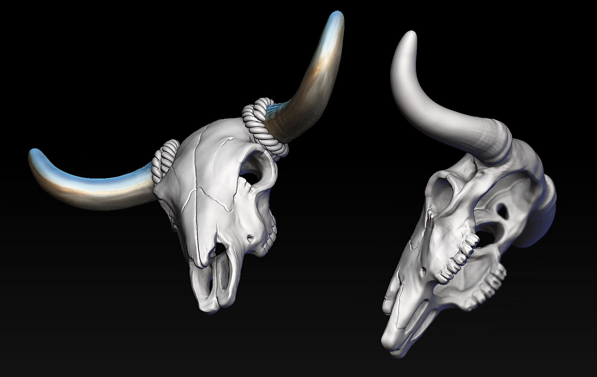Bull Skull with Separate Horns 3D print model_5