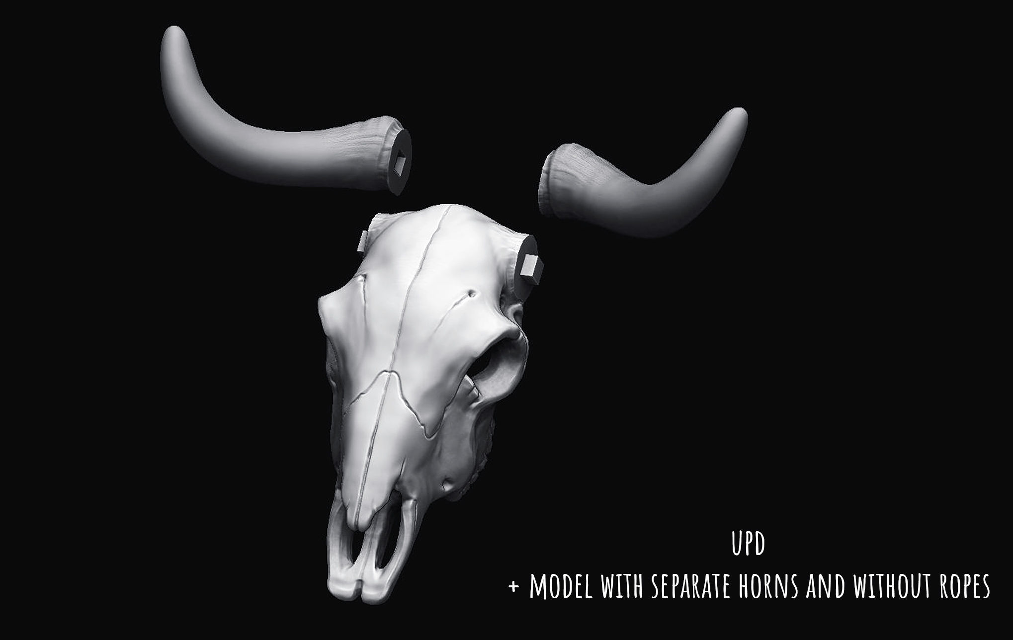 Bull Skull with Separate Horns 3D print model_4