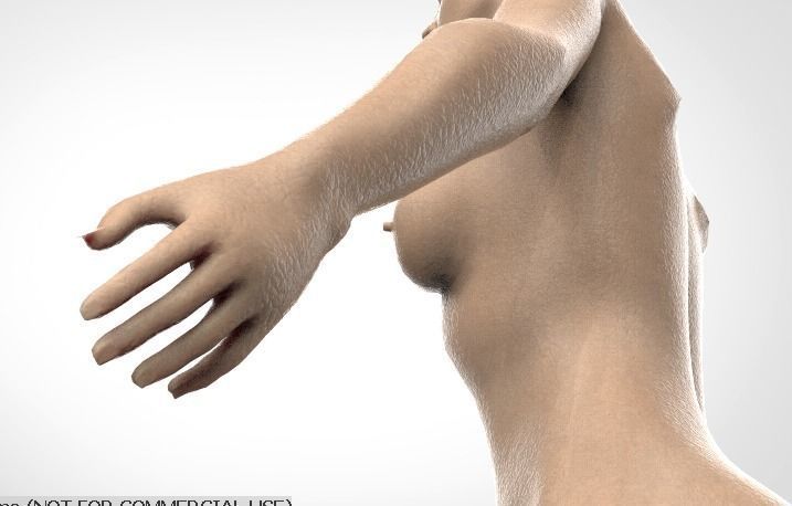 Female Character - Mid Poly 3D model_9