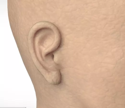 Female Character - Mid Poly 3D model_0