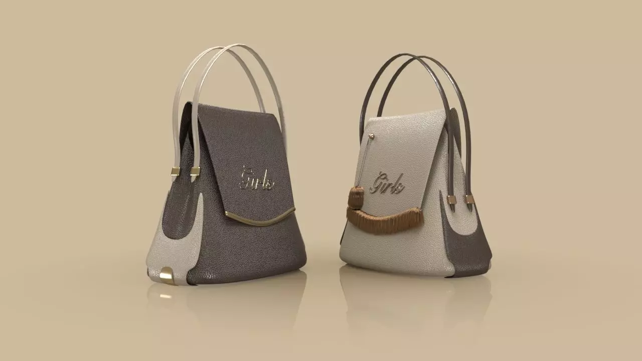 Luxury Woman Bag scene 3D model_0