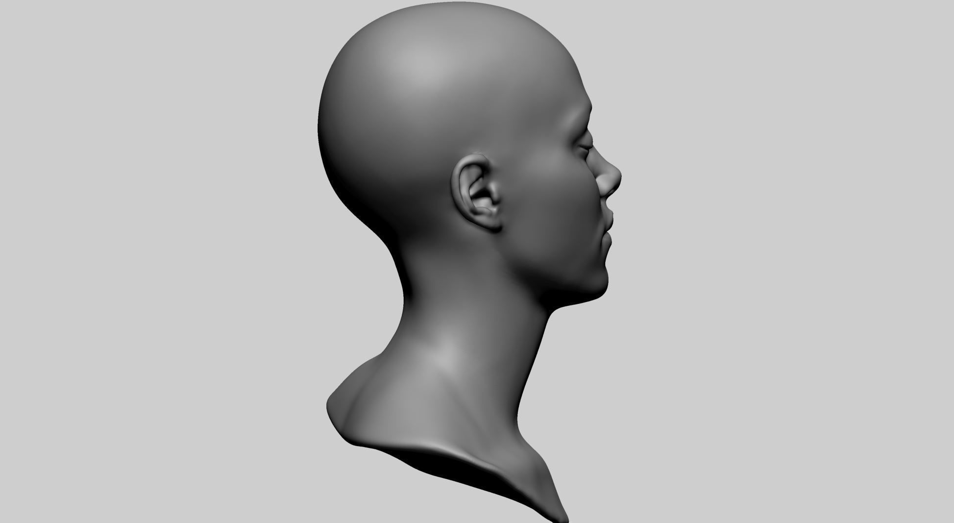 Base Female Head 3D model_1