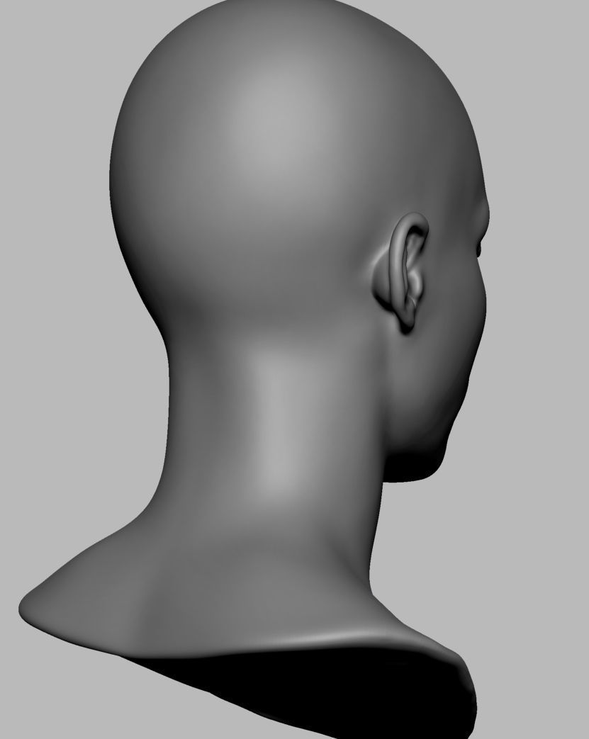 Base Female Head 3D model_5