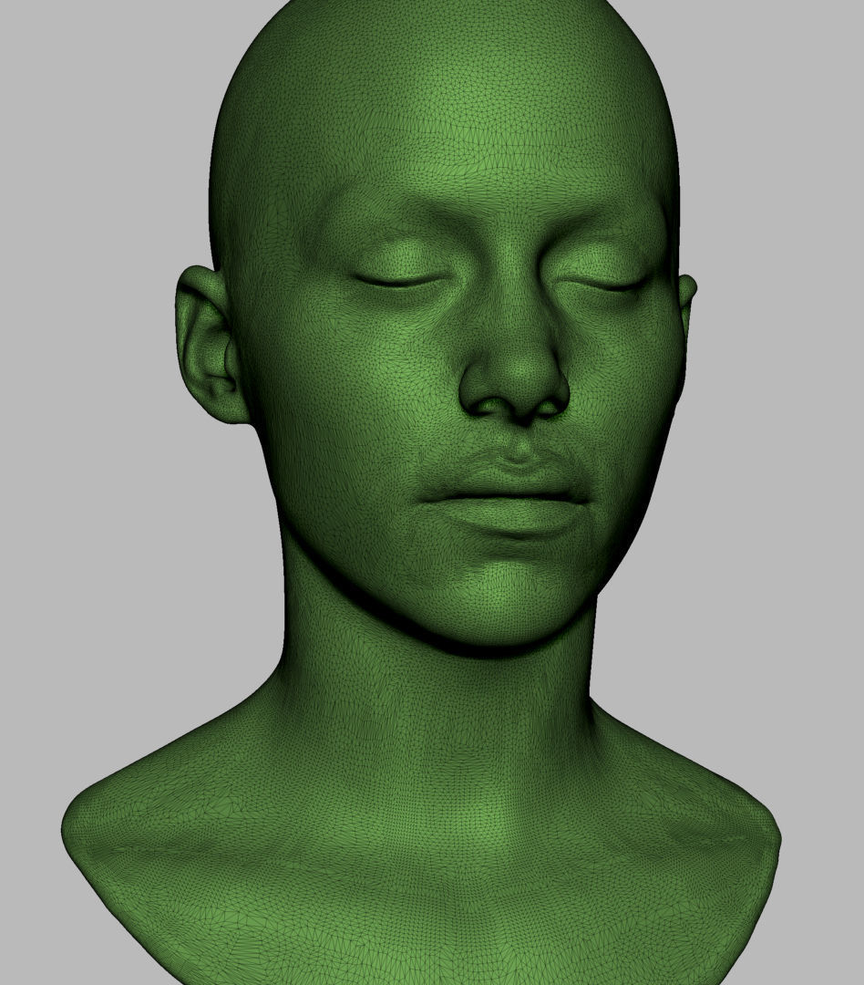 Female Head Printable 3D print model_12