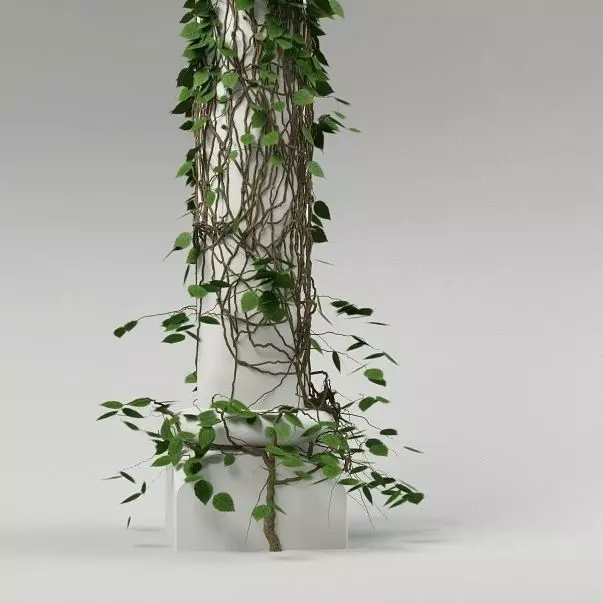 Plant and column 03 3D model_0