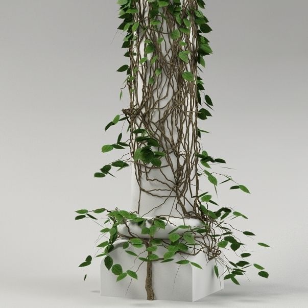 Plant and column 03 3D model_3