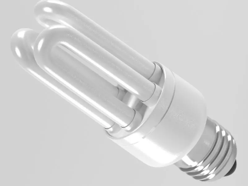Fluorescent Light Bulb 3D model_0