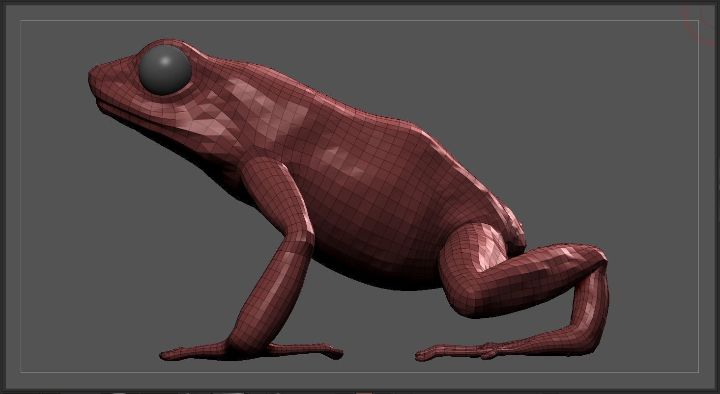 Frog - Golden Poison Dart Frog 3D model_4