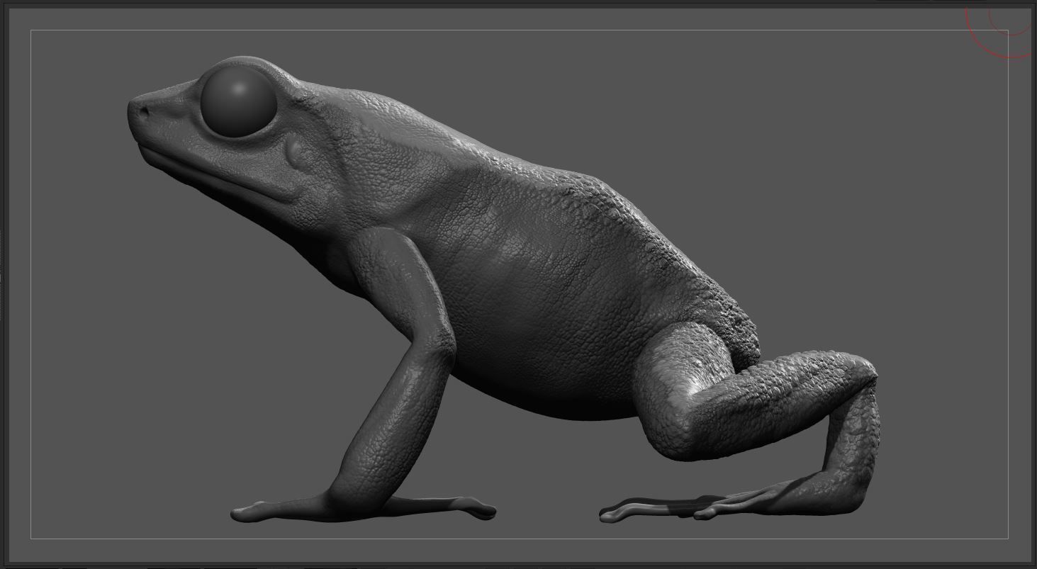 Frog - Golden Poison Dart Frog 3D model_3