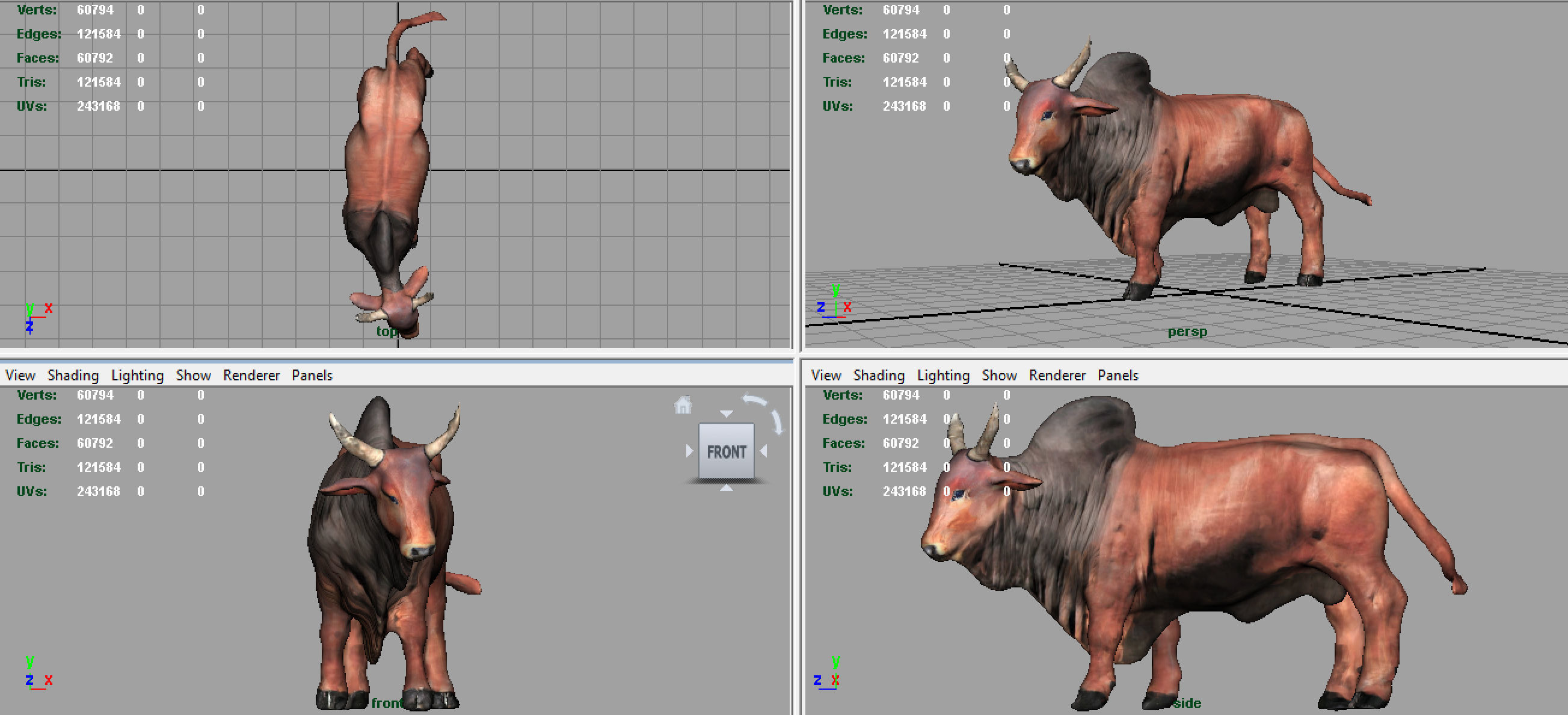 SACRED COW 3D model_5